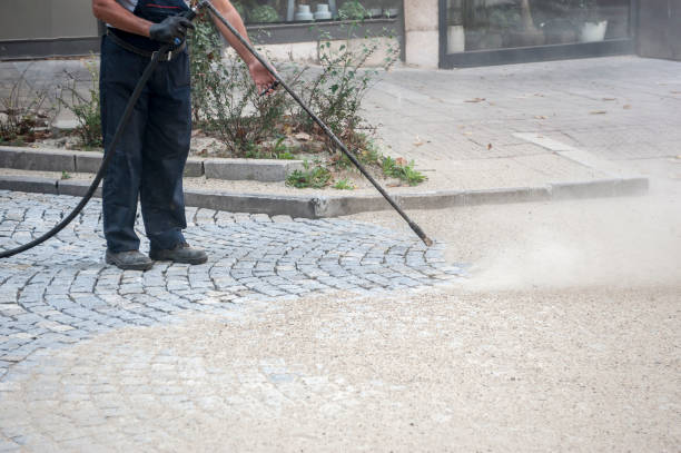 Best Sidewalk and Walkway Cleaning  in Home Gardens, CA